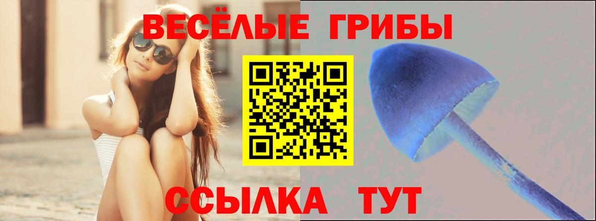 Псилоцибиновые грибы мухоморы  Вход с VPN  Волжск 